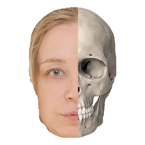 ttms_logo.png ttms_logo.png